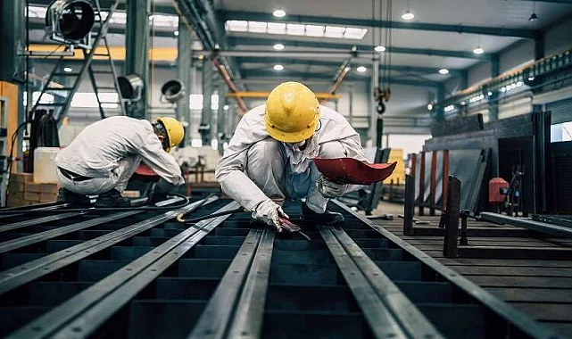 Şarkikaraağaç Kokusuz İlaçlama